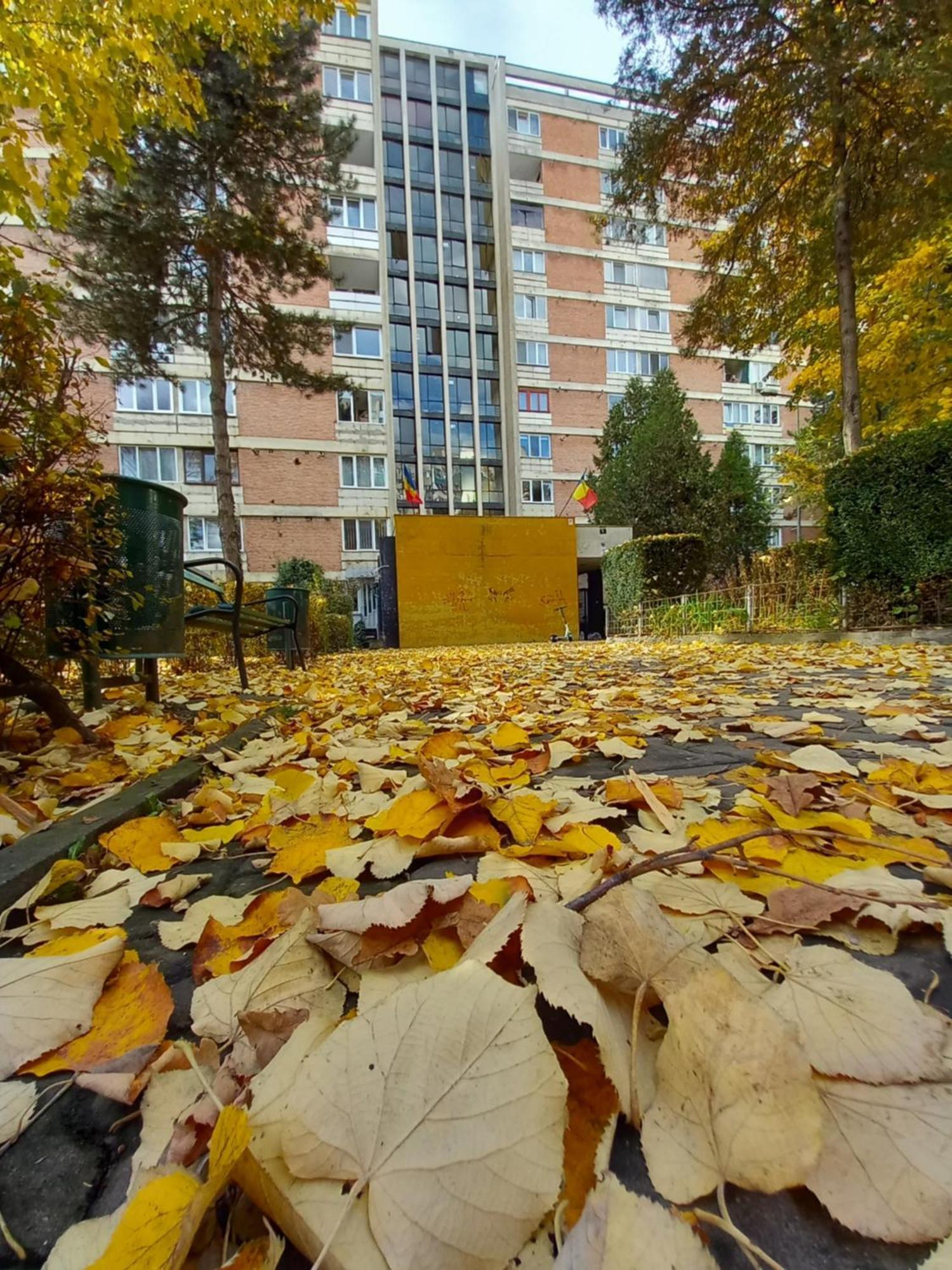 Apartament Dacia Târgu-Mureş Zewnętrze zdjęcie