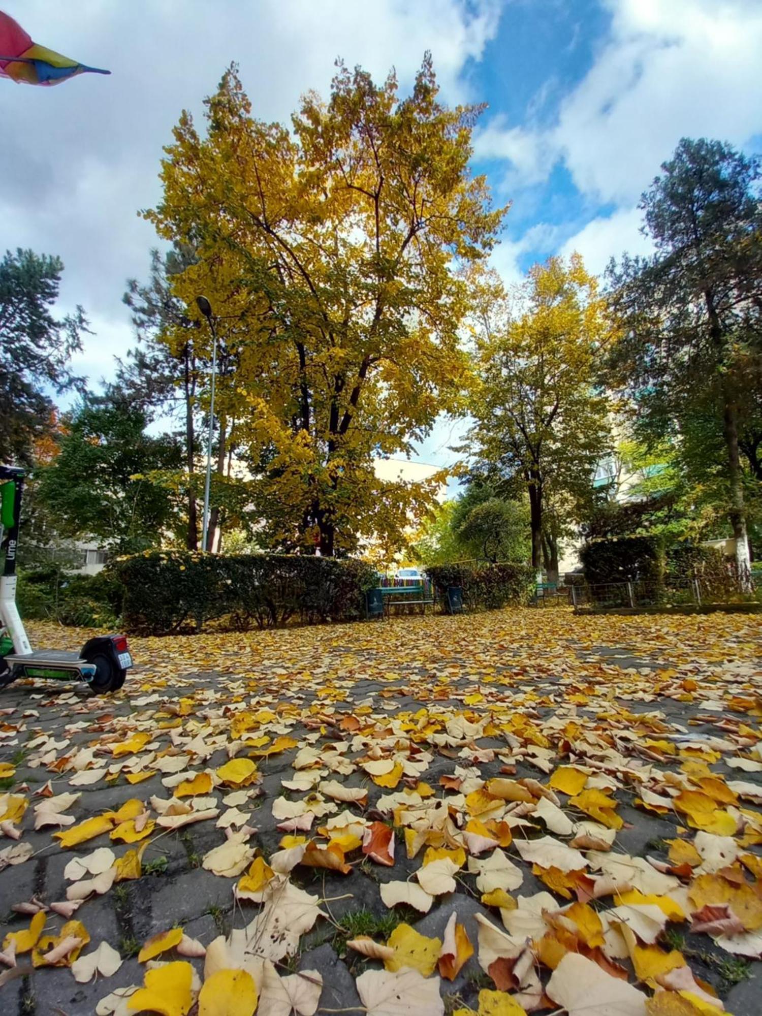 Apartament Dacia Târgu-Mureş Zewnętrze zdjęcie