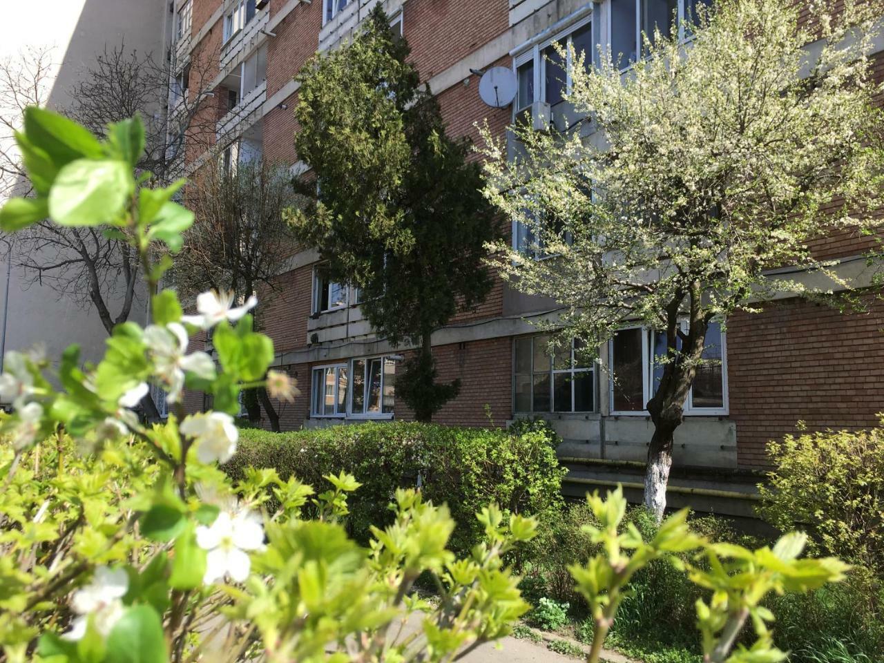 Apartament Dacia Târgu-Mureş Zewnętrze zdjęcie